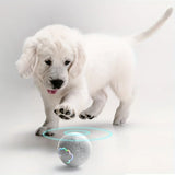 Smart Interactive Pet Ball, Endless Fun for Your Pet! 🎾✨