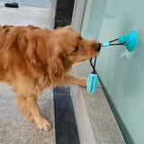 Dog Chew Toy – Intense Fun for Aggressive Chewers!