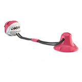 Dog Chew Toy – Intense Fun for Aggressive Chewers!