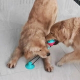 Dog Chew Toy – Intense Fun for Aggressive Chewers!