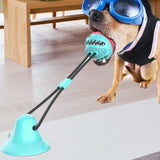 Dog Chew Toy – Intense Fun for Aggressive Chewers!