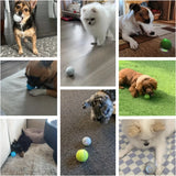 Smart Interactive Pet Ball, Endless Fun for Your Pet! 🎾✨