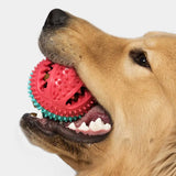 Dog Chew Toy – Intense Fun for Aggressive Chewers!