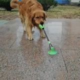 Dog Chew Toy – Intense Fun for Aggressive Chewers!