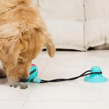 Dog Chew Toy – Intense Fun for Aggressive Chewers!