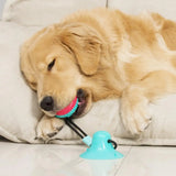 Dog Chew Toy – Intense Fun for Aggressive Chewers!