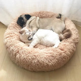 Super soft cat bed – Comfort, safety and peaceful sleep!