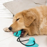 Dog Chew Toy – Intense Fun for Aggressive Chewers!