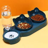 3-in-1 Pet Bowls with Automatic Drinker – Comfort and Health for Your Pet! 🐾✨